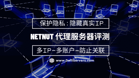 NetNut 代理服务器评测