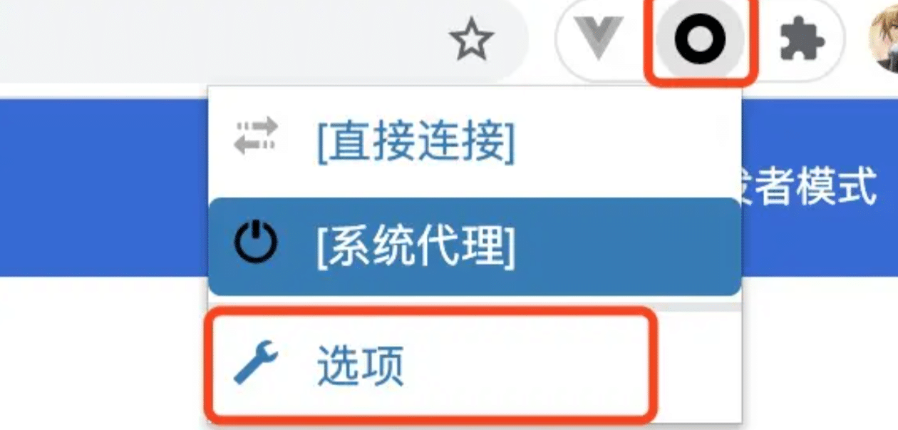SwitchyOmega配置