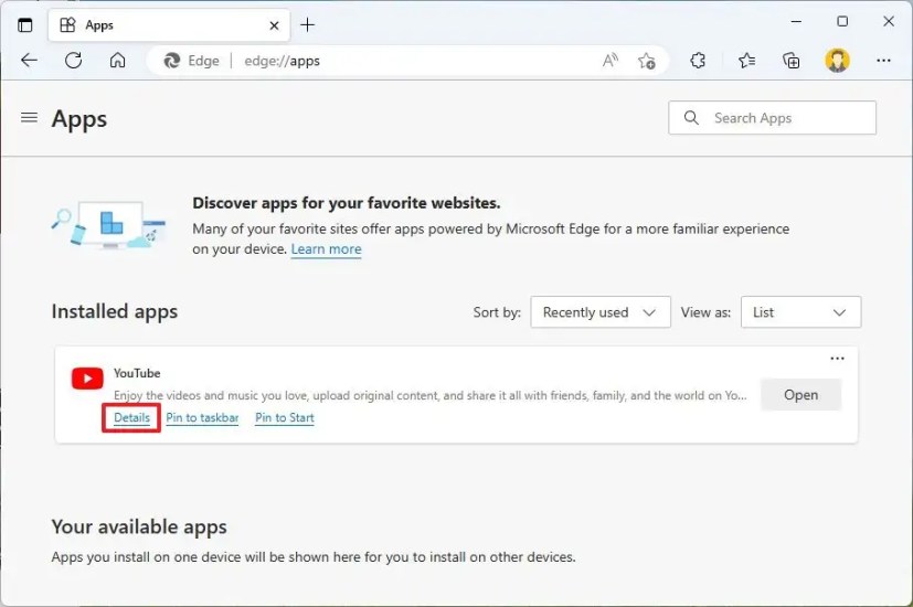 Web 应用程序详细信息选项
