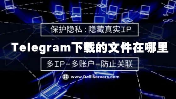 Telegram下载的文件在哪里