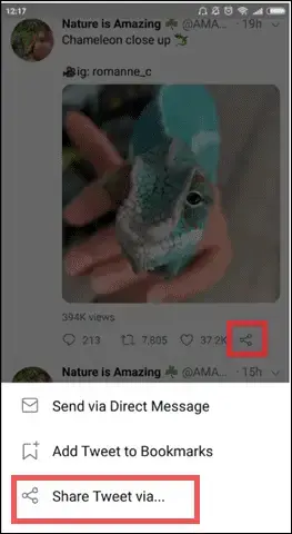 twitter-gif-下载器